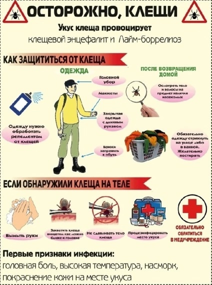 Осторожно-клещи!.