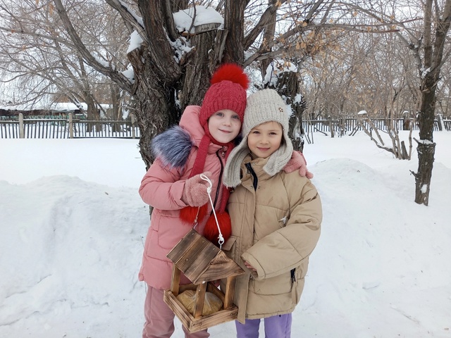 Новая столовая для пернатых.