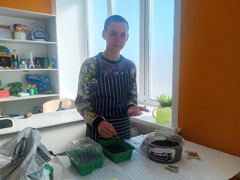 Семиклассники сажают овощи и зелень!.